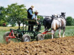 Pintow Triple System horse hitch cart