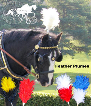 Coloured Feather Plumes For Horses Etc