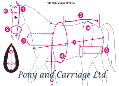 carriage driving horse harness measurement diagram