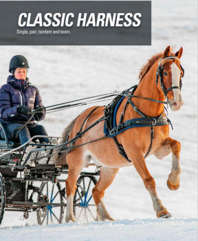 Zilco Classic Single Harness Set With Standard Collar And Fixed Backband