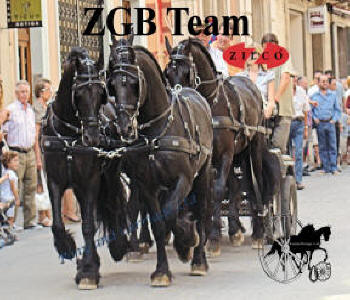 Zilco ZGB Horse Harness Single - Pair -Team 5