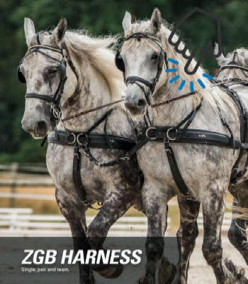 Zilco ZGB Horse Harness Single - Pair -Team