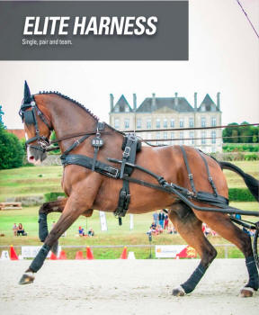 Zilco Elite Single Driving Harness 