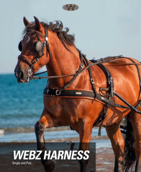 Zilco Driving Harness Quick Release  FOR WEB Z HARNESS/ TEDEX Tugs 32M 