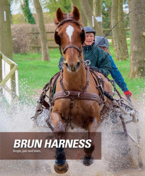 Zilco Brun Horse Harness Single and Pair