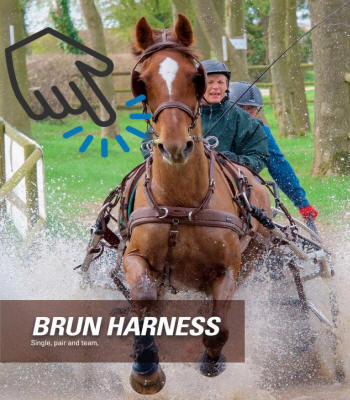 Zilco Brun Carriage Driving Harness  Single - Pair Catalouge