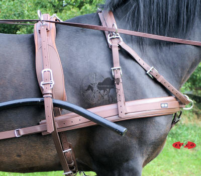 Zilco Horse Harness Online Shop SL Sportz Tedex Classic ZGB Single Pair ...