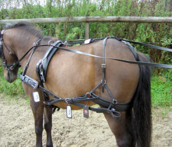 Zilco Carriage Driving SL Plus Driving Reins for Pair