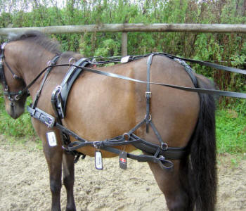Silco SL Single Shetland Harness
