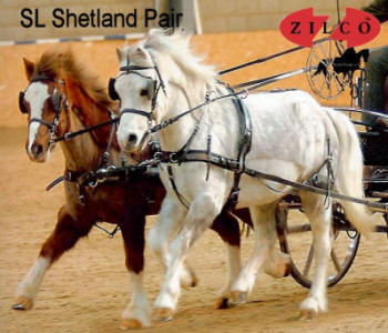 Crupper with Backstrap Zilco SL Driving Harness Shetland/Small Pony
