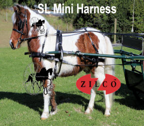 Zilco Carriage Driving Harness WebZ Headpiece 