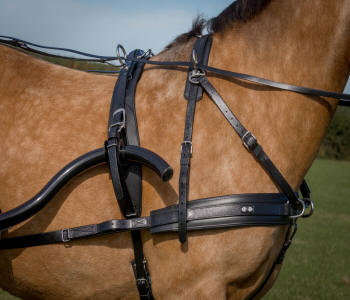 Headpiece for SL Deluxe and Zilco Fine Bridles Zilco Driving Harness