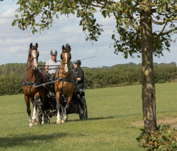 Zilco Sl Harness Parts