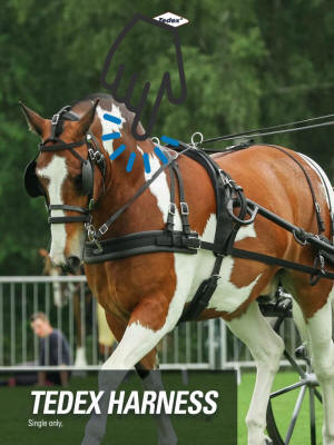 Zilco Tedex Harness PDF Details