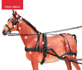 Zilco Tedex Harness Parts
