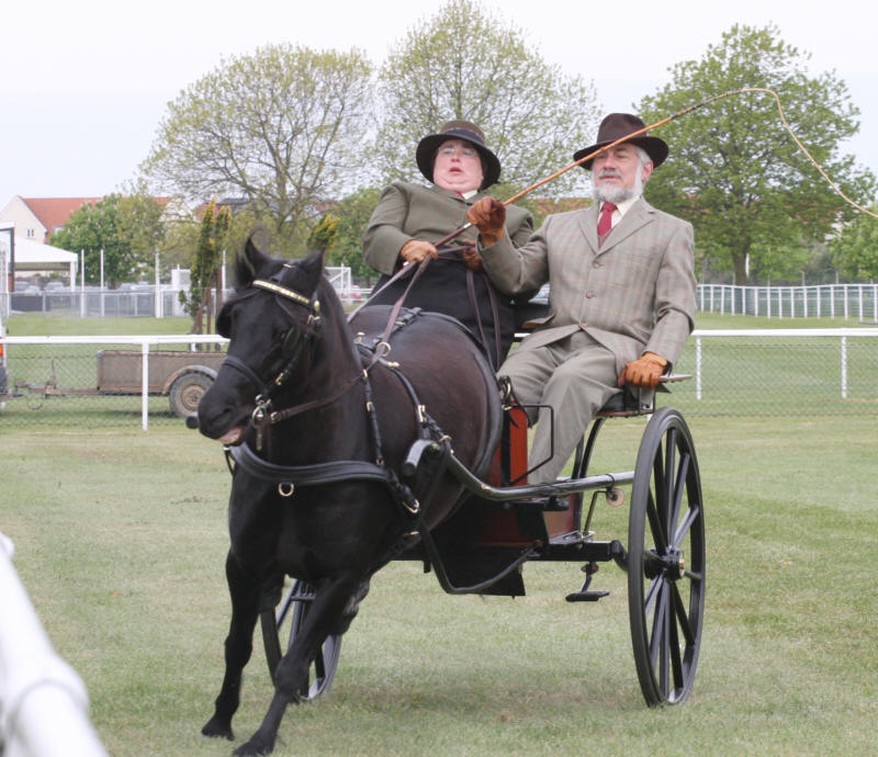 carriage driving steady