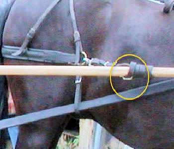 Under Shaft Breeching Dee Shaft Staple Stainless