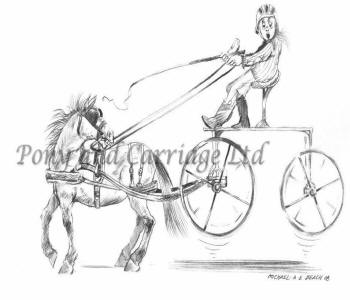 horse carriage too light