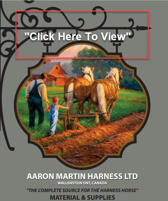 Aaron Martin Heavy Horse Cat