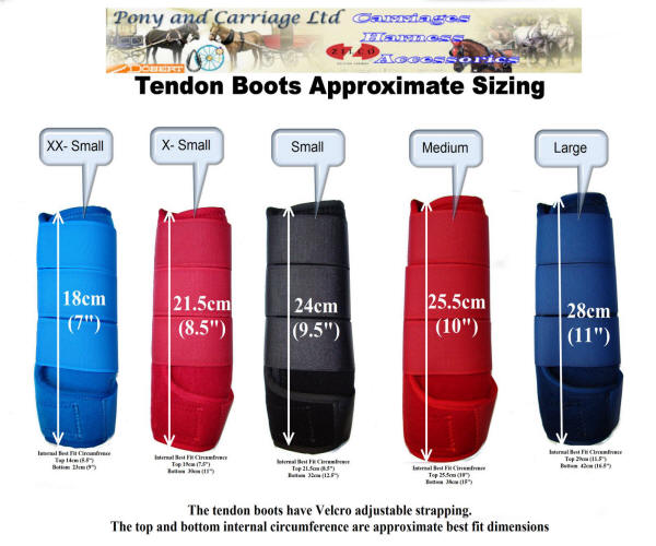 Carriage Driving Sizing Guide