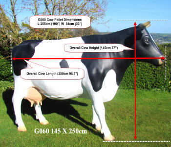 Life Size Cow Modle Measurements
