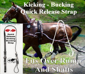 Carriage Driving  Kicking - Bucking Strap