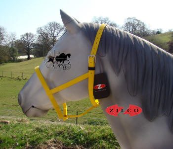 Zilco White Under Halter Carriage Driving