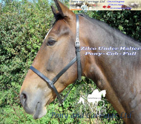Zilco Carriage Driving Under Halter