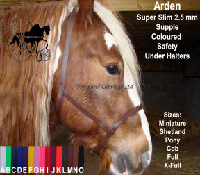 Arden Carriage Driving Under Halters