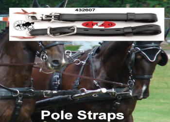 Carriage Driving Team Pair Pole Straps Miniature Shetland Pony 