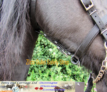 Bridle Saftey Gullet Strap